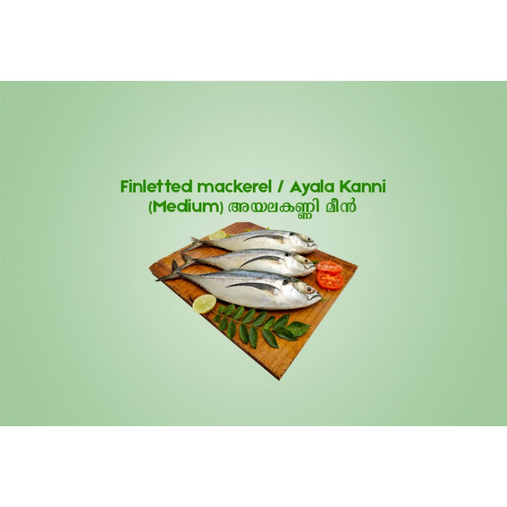 Finletted mackerel / Ayala Kanni (Medium) അയലകണ്ണി  മീൻ - 500 gm 